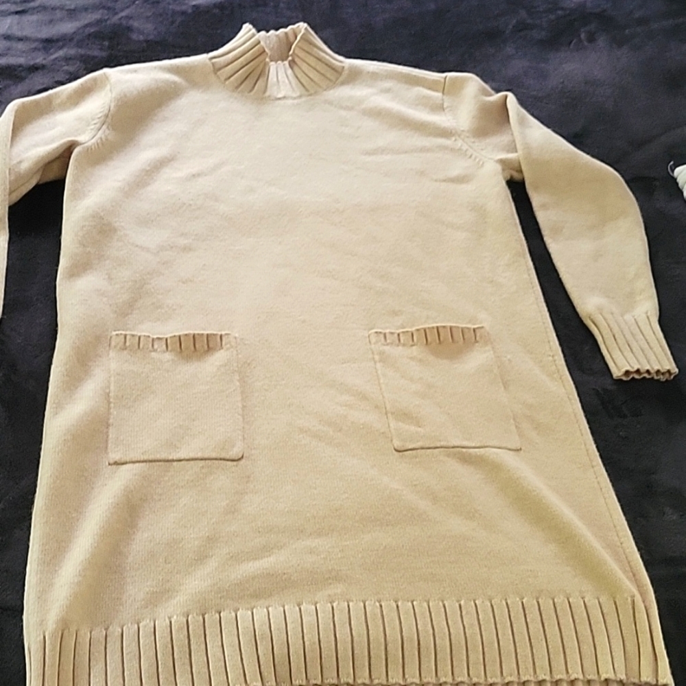 Ann Taylor Loft Sweater dress